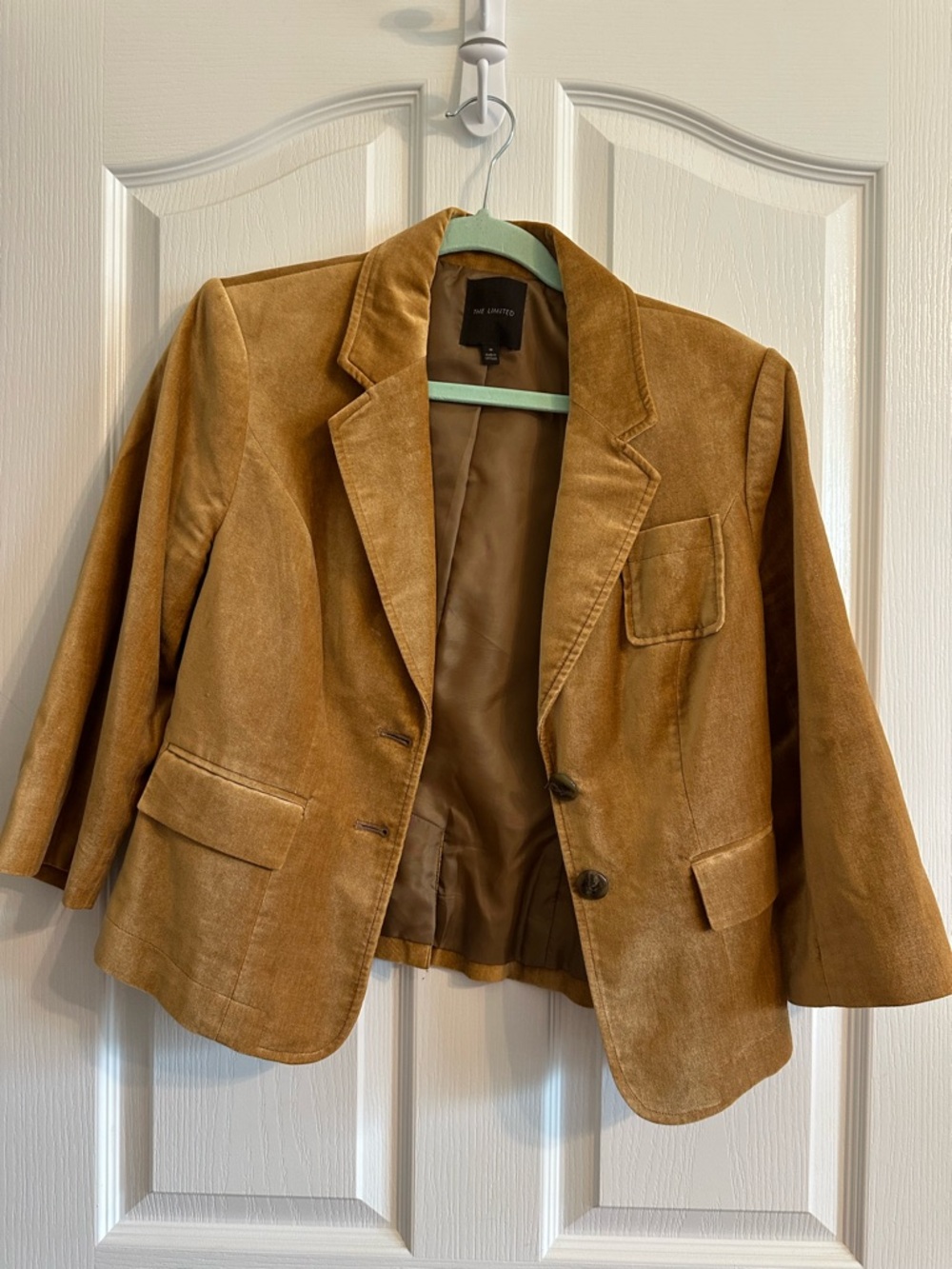 The Limited Camel Suede Blazer Jacket